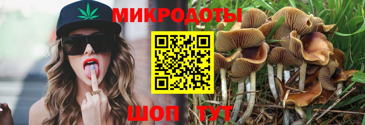 Златоуст  Псилоцибиновые грибы Psilocybe  Псилоцибиновые грибы Psilocybine cubensis  Вход с VPN 